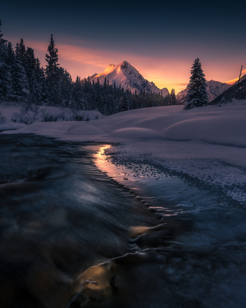 Where the light guides you von Simon Roppel