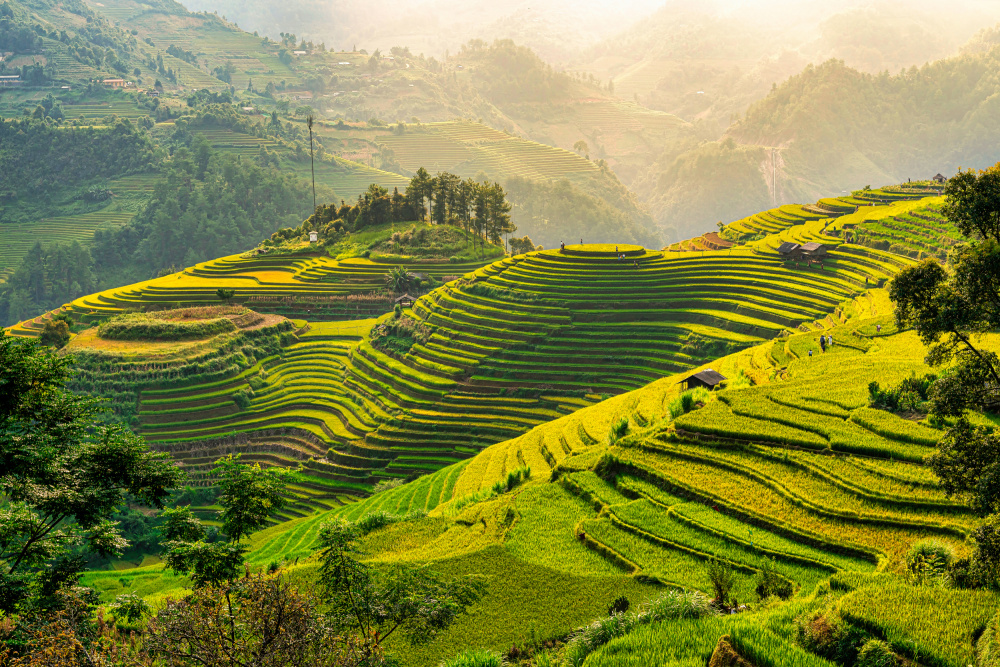 Mu Cang Chai rice terrace, Vietnam von Simone Fraulini