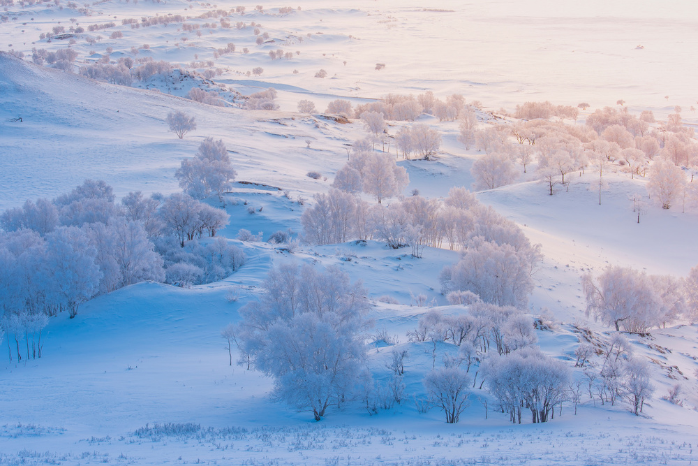 A world of ice and snow von Simoon