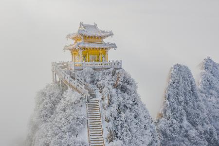 Golden roof