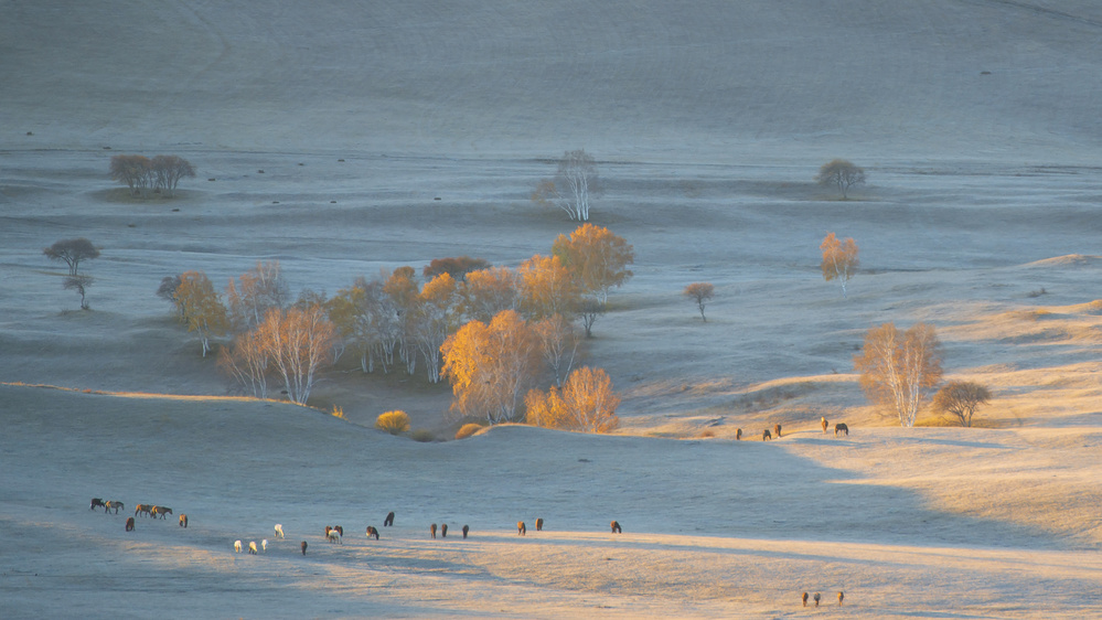 Autumn grazing von Simoon