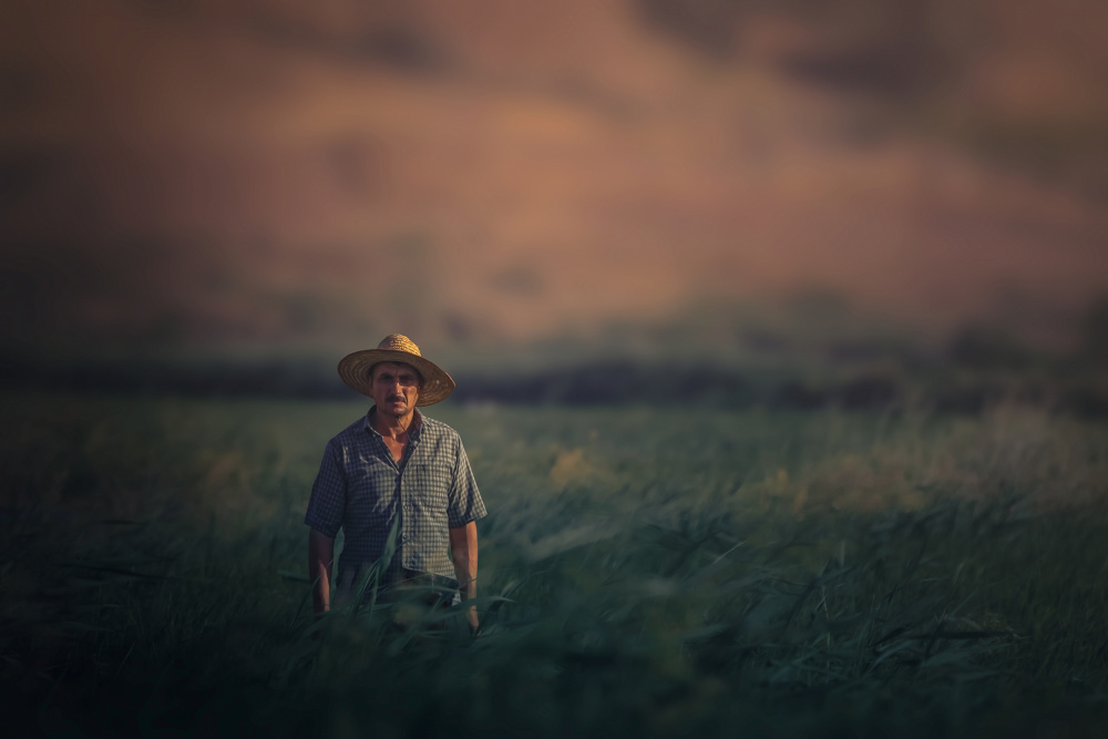 A Farmer Man... von Sina Pezeshki