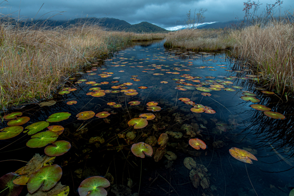 Oze in late autumn von sirou.minami