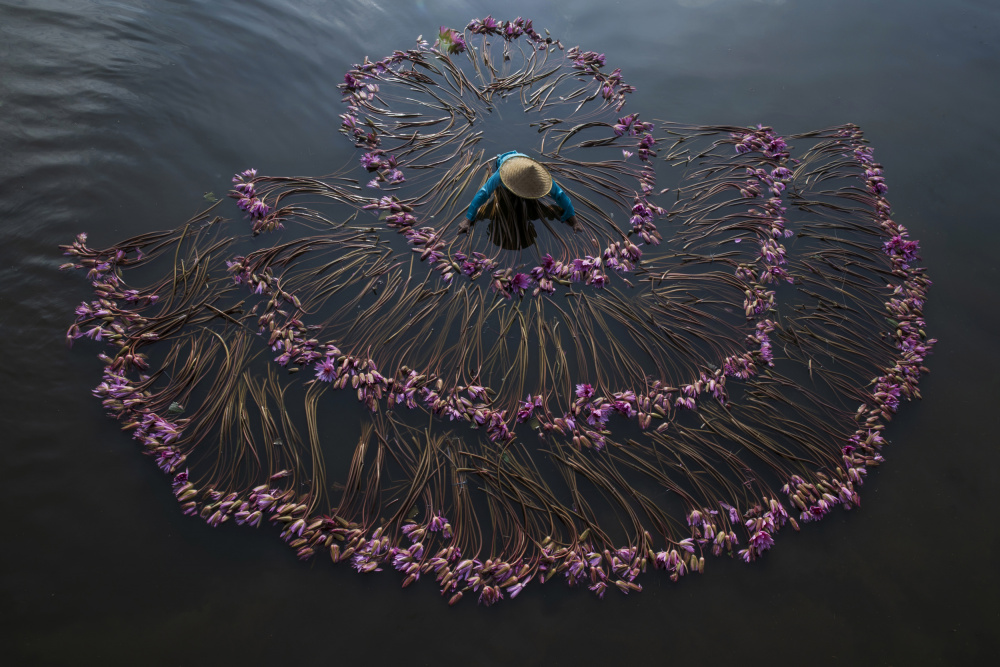 Flower arrangement von Sita Gramich