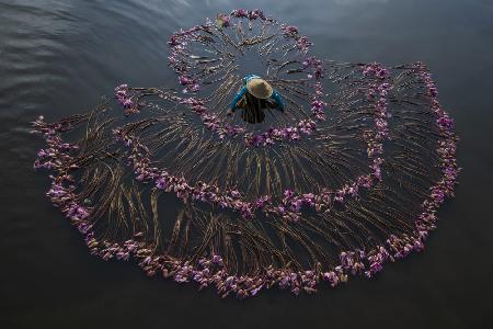 Flower arrangement