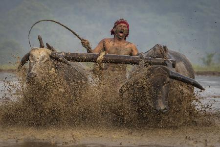 Plowing the fields