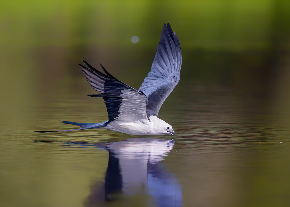 Take a Drink von Siyu and Wei Photography