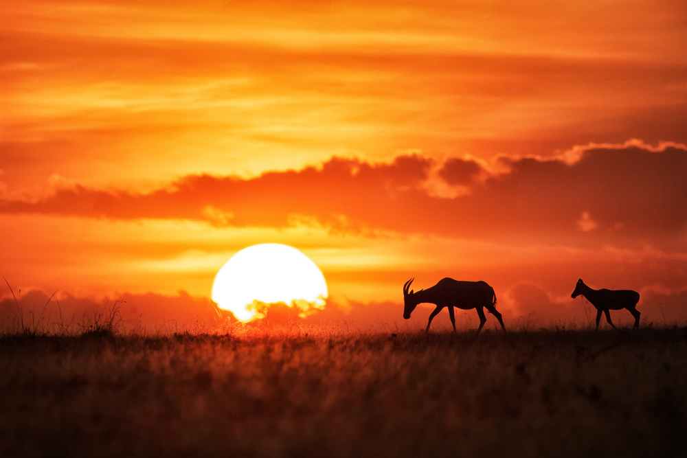 Sun rise von Siyu and Wei Photography