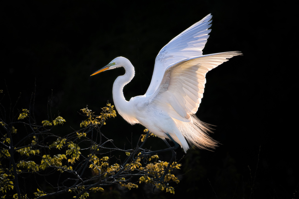 Sunset moment von Siyu and Wei Photography