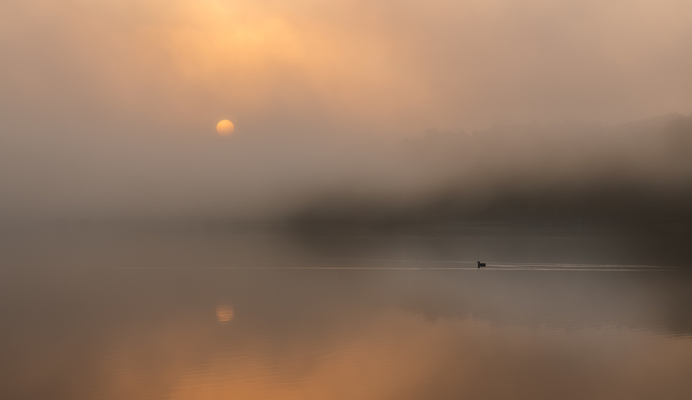 The loneliness of the long-distance runner. von Slawomir Kowalczyk