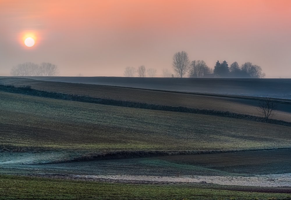 Spring day von Slawomir Kowalczyk