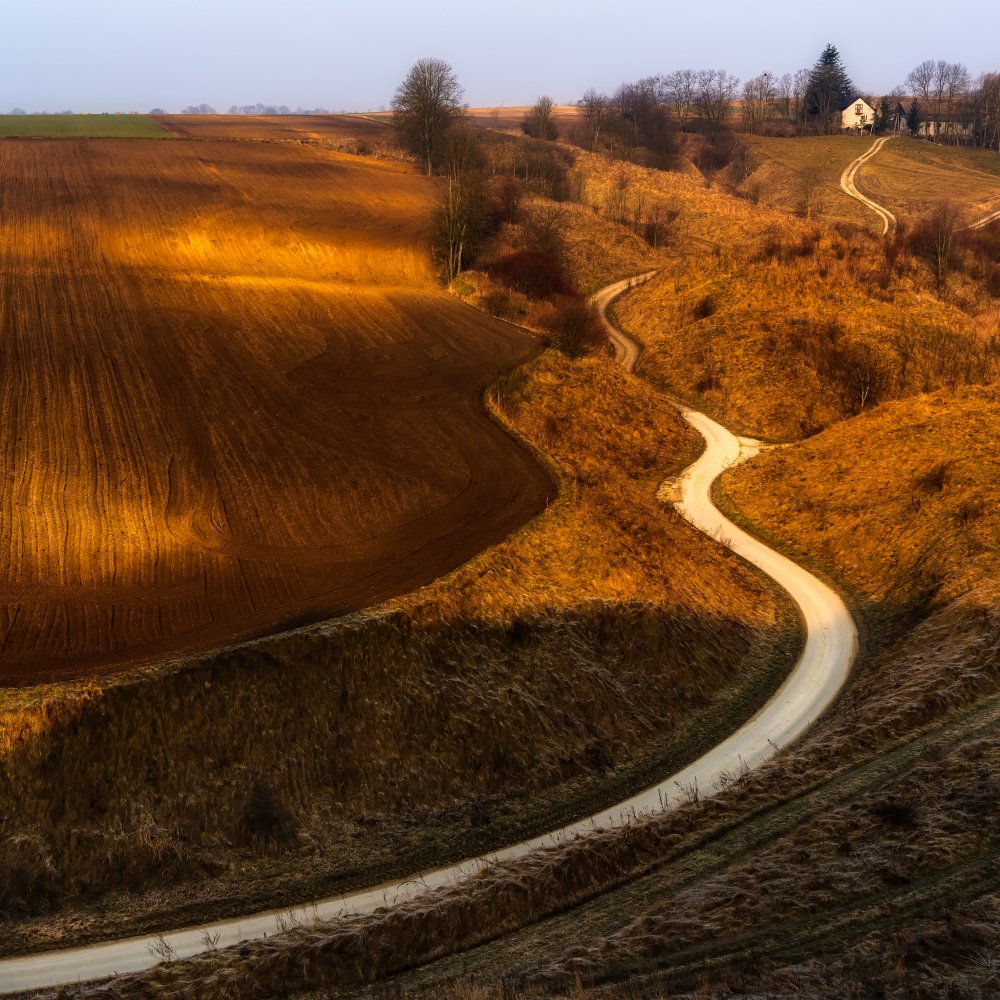 Way home von Slawomir Kowalczyk