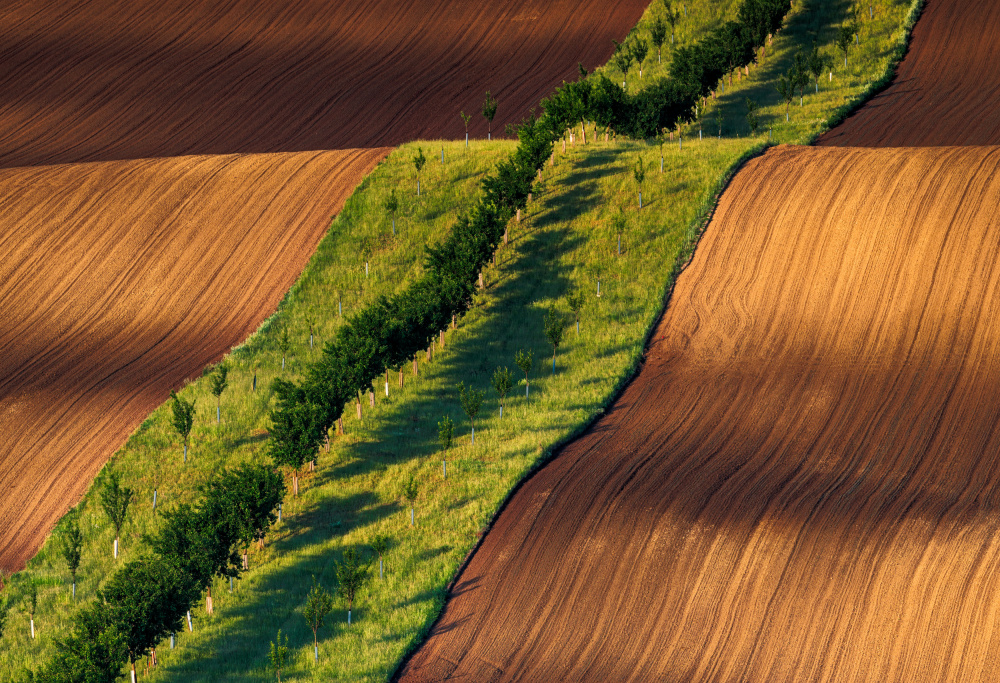 Moravian fields von Slawomir Kowalczyk