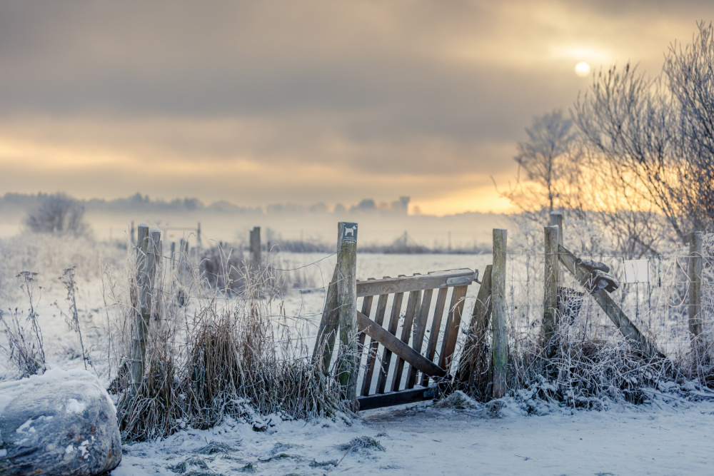 Winter gate von Soeren Pap-Tolstrup