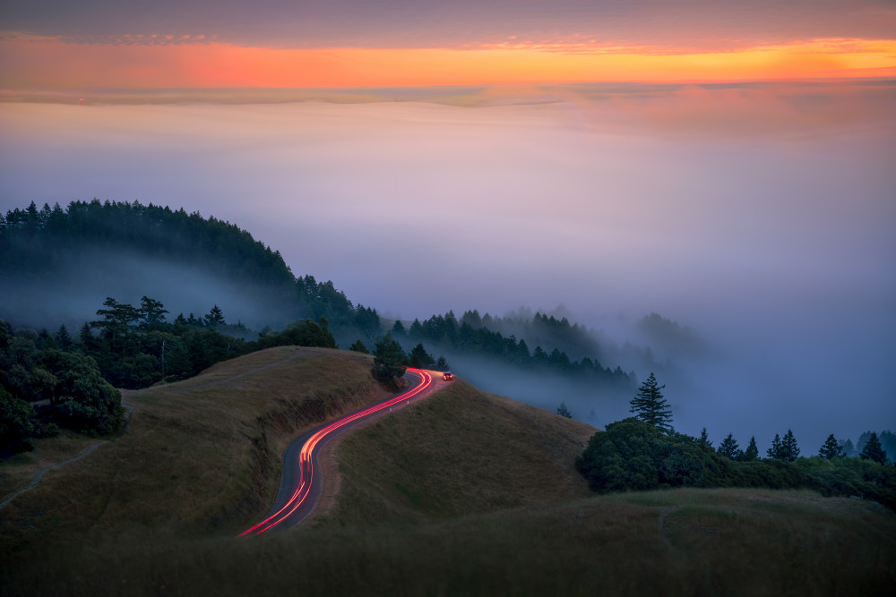 Into the Fog von Sophia Li