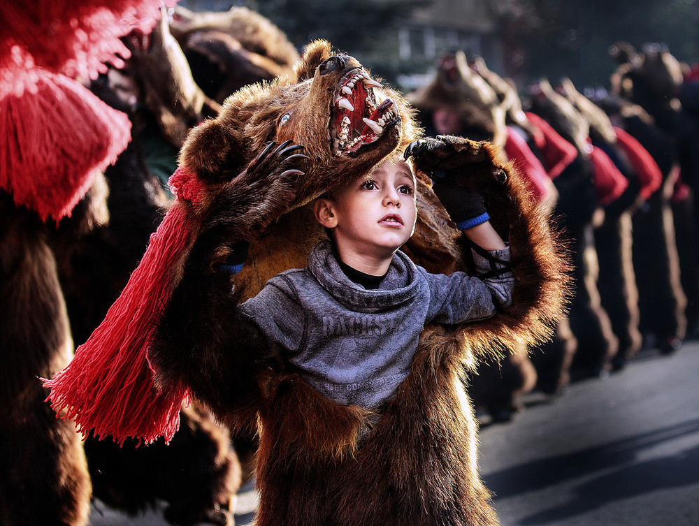 The Young Bear (II) von Sorin Onisor