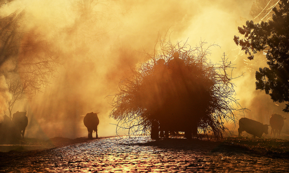 The Golden Hour ! von Sorin Onisor