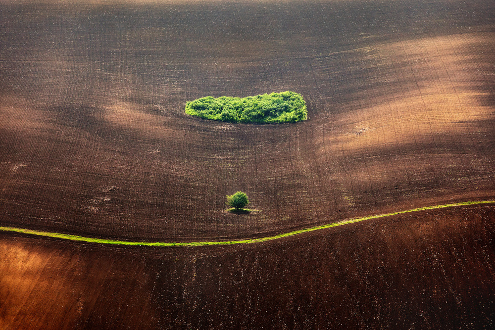 The Road von Sorin Onisor