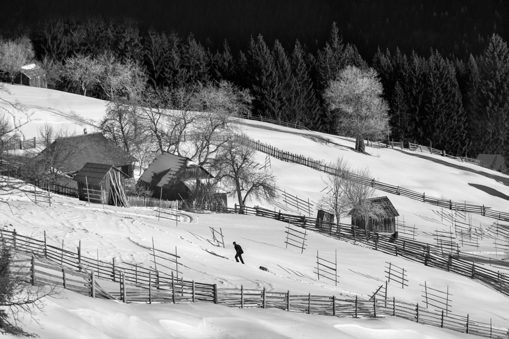 Life in Black and White ! von Sorin Onisor