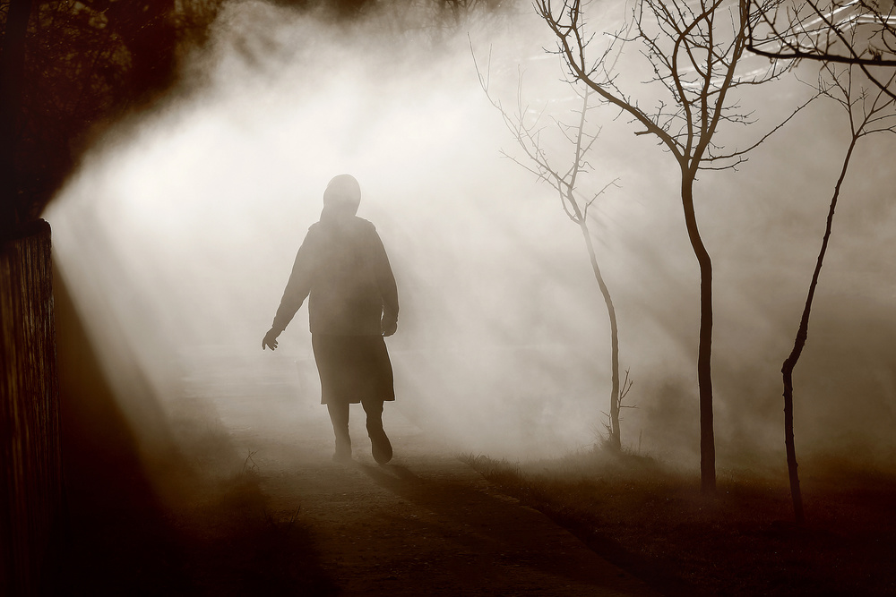 Legends of the Fall von Sorin Onisor