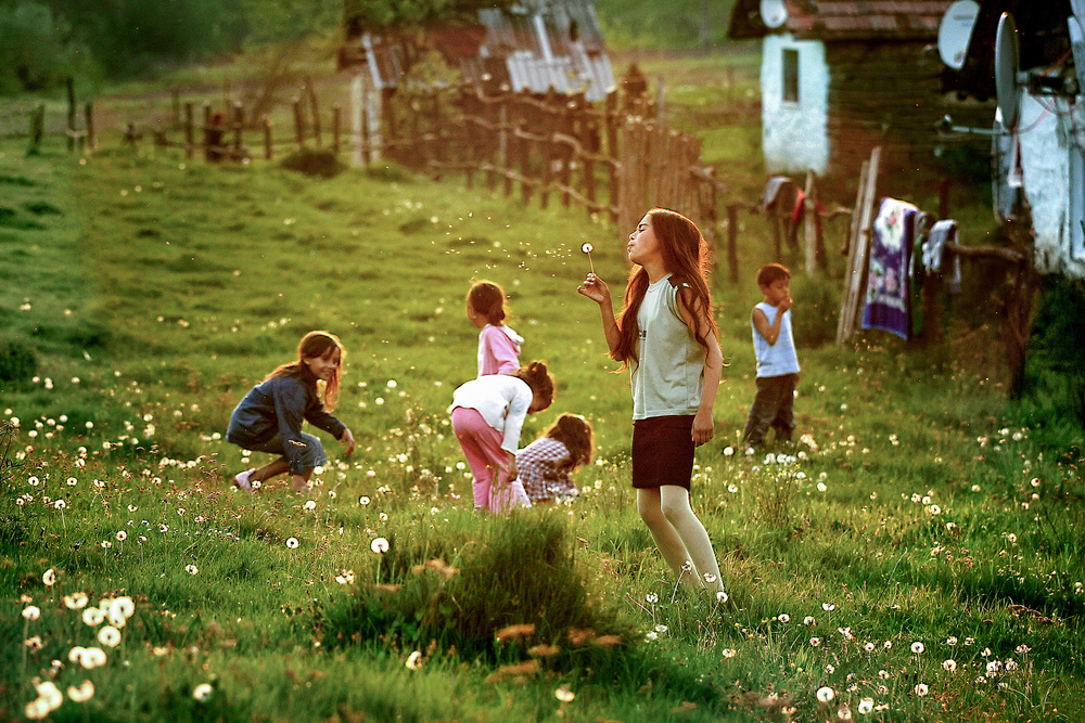 Time of Dandelions ! von Sorin Onisor