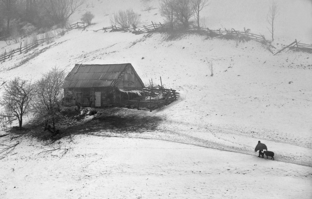 way home von Sorin Tanase