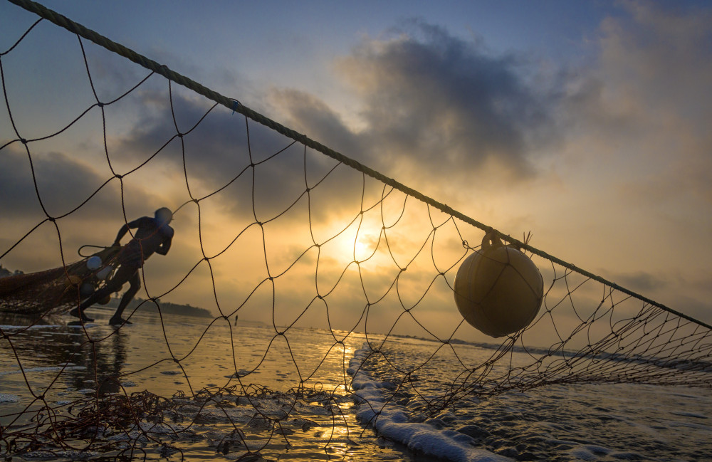 Pulling the net von Souvik Banerjee