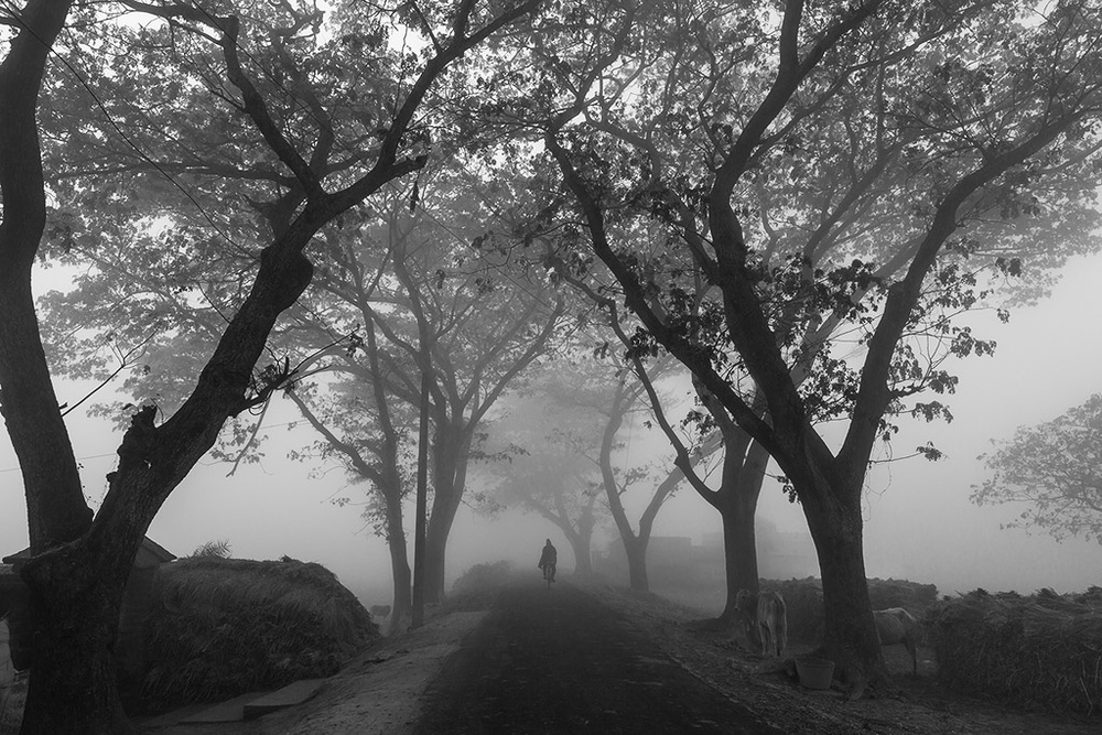 Village road in morning fog von Souvik Banerjee