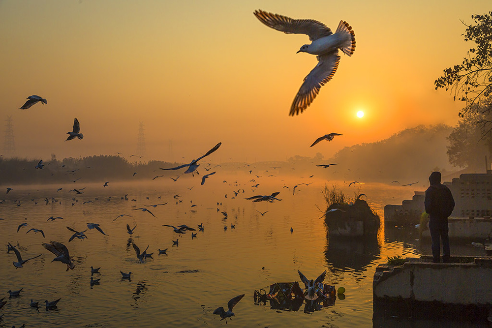 Wings over Yamuna von Souvik Banerjee