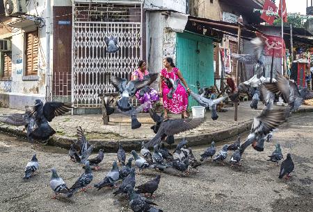 Morning chat and pigeons