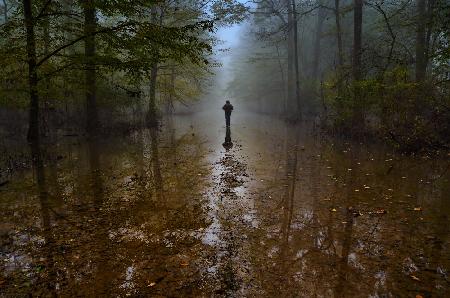 In pursuit of the fog