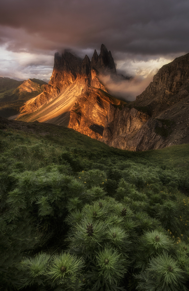 Seceda Summer von Stan Huang