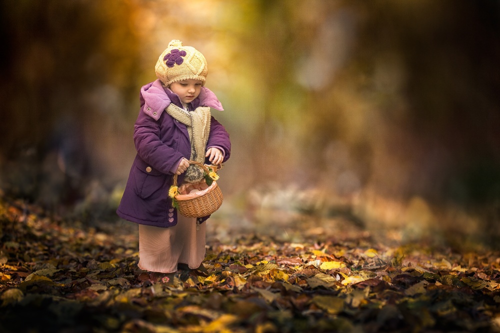 Small autumn fairy von Stanislav Hricko