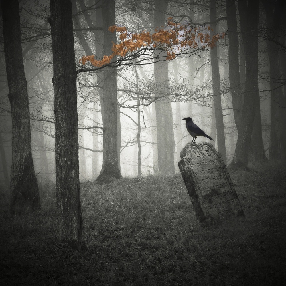 When the autumn is over von Stanislav Kompas