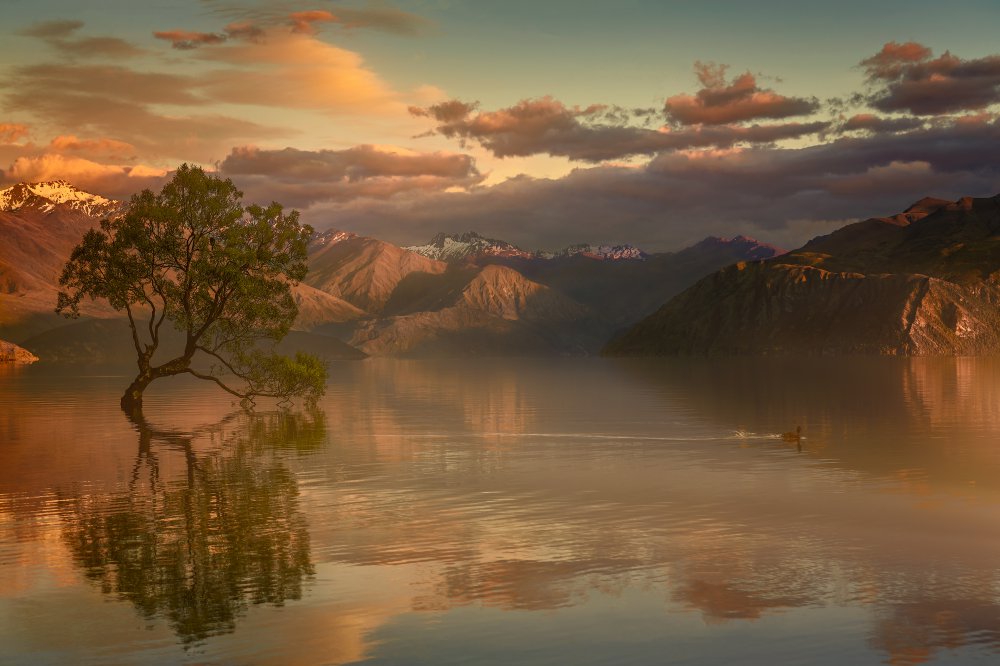 Lone Tree Not Alone von Stanley Loong