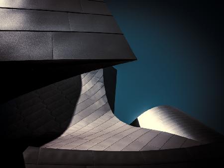 Walt Disney Concert Hall LA - study VI