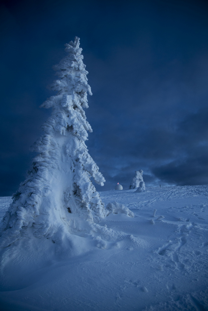 Frozen von Stefan Danko