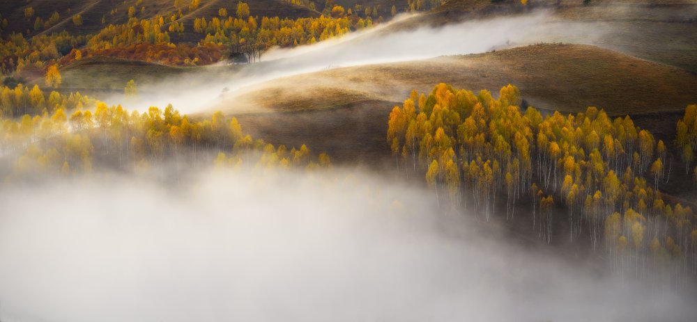 Earth is breathing von Stefan Hogea