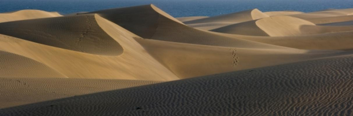 Dunas de Maspaloma von Stefan Kassal