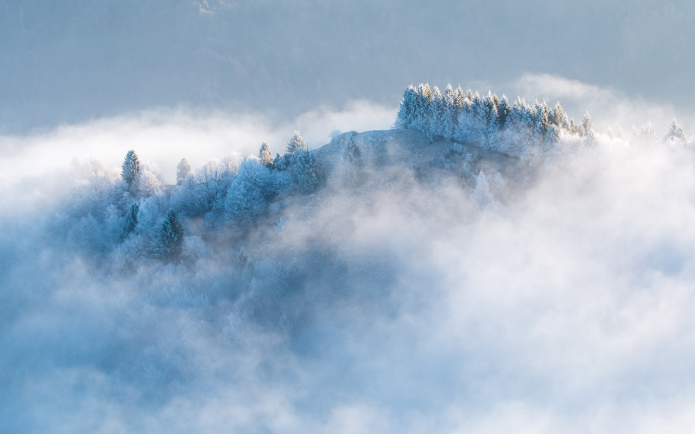 Frozen morning von Stefan Miron