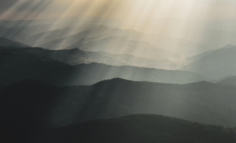 Raining light von Stefan Miron