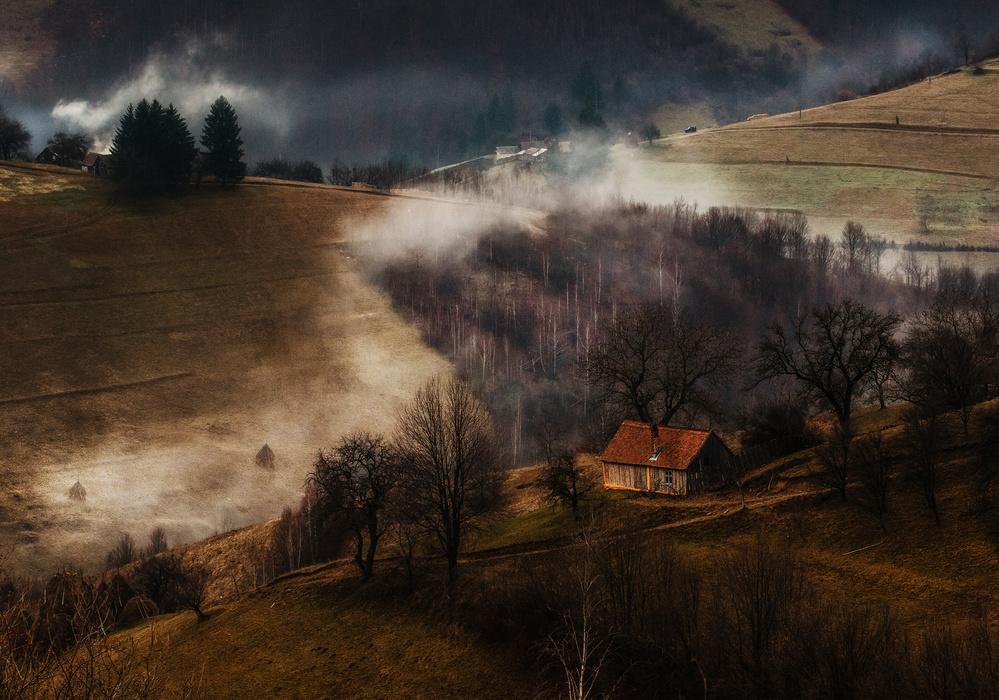 Late fall von Stefan Miron