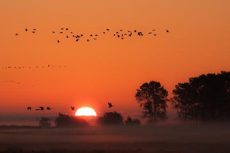 Herbst am Darss