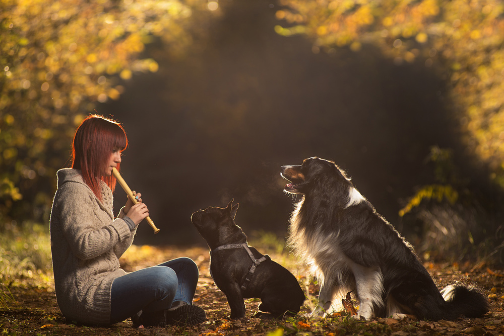 Magic Sound von Stefano Campo