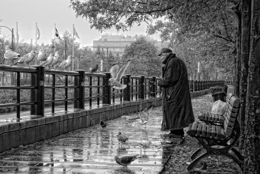 The old man and his friends von Stefano Cicali