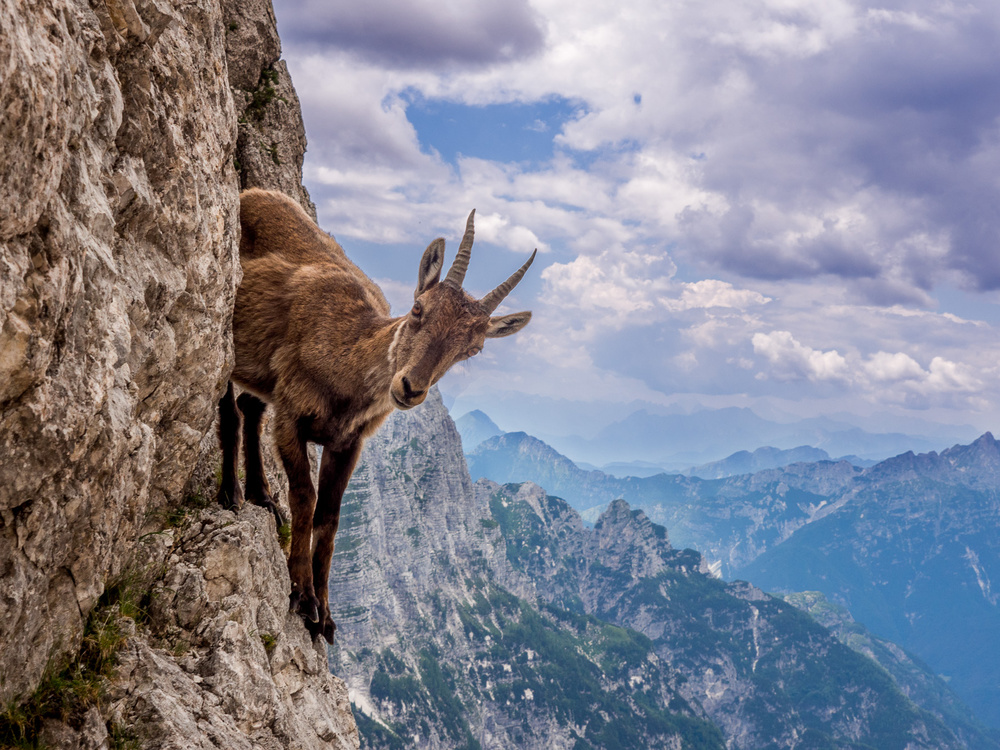 On the cliff von Stefano Marsi