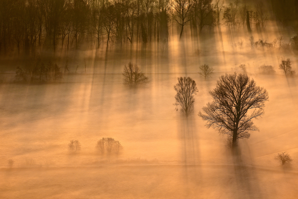 Pins of light von Stefano Oppioni