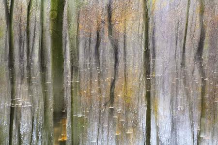 Ticino river flooding in abstract