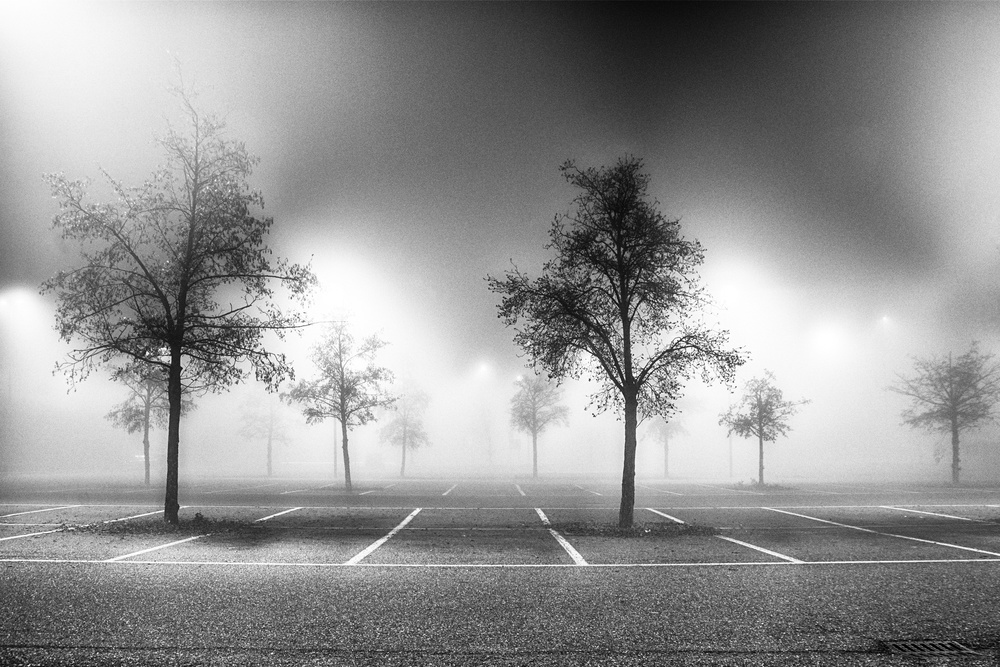 Parking tree von Stefano Scappazzoni