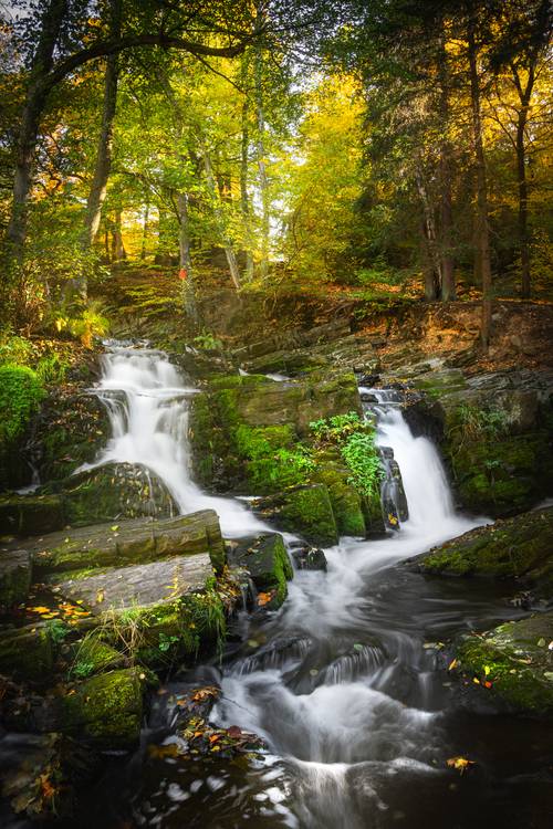 Herbst im Selketal von Steffen  Gierok